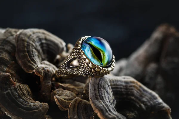 Creative ring with dragon eye — Stock Photo, Image