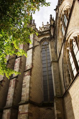 Utrecht, Hollanda'daki St. Martin Katedrali