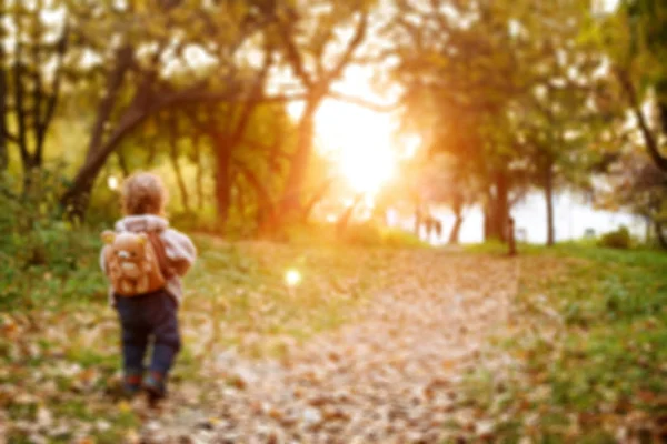 Pequeño niño caminando en el parque al atardecer — Foto de Stock