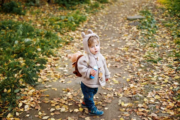 Cute toddler with animal ears hood walking in the par — Stock Photo, Image