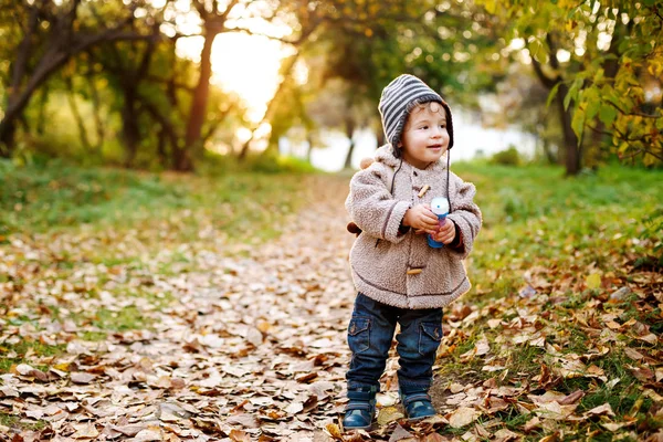Cute little toddler standing in the fall leaves — Stock Photo, Image
