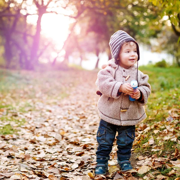 Aranyos kis kisgyermek áll az őszi levelek — Stock Fotó