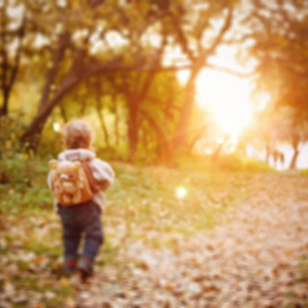 Kis kisgyermek séta a parkban a naplementekor — Stock Fotó