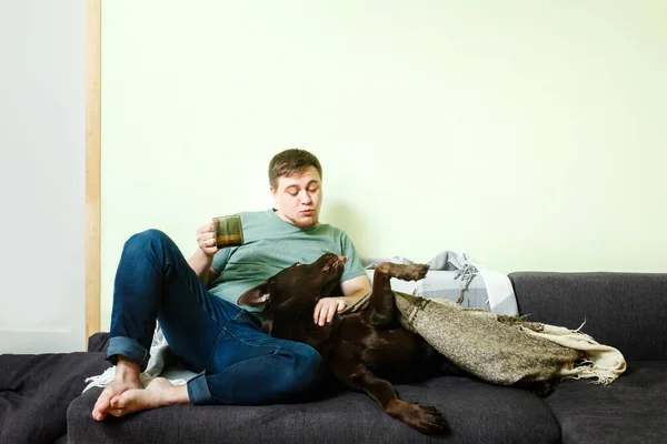 Happy Handsome Man Sitting Couch Home Pet Dog Labrador Retriever — Stock Photo, Image