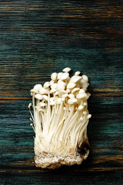 Enoki Enokitake Flammulina Velutipes Ehető Gomba Népszerű Japán Konyha Egy — Stock Fotó