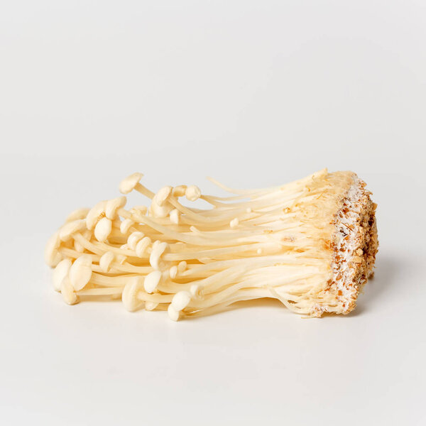 Enoki, Enokitake, Flammulina velutipes, edible mushroom popular in Japanese cuisine. Heap of little white enoki mushrooms on neutral white background, close-up.