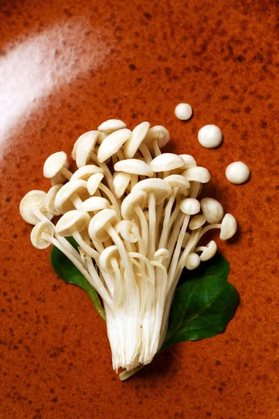 Enoki Enokitake Flammulina Velutipes Edible Mushroom Popular Japanese Cuisine Heap — Stock Photo, Image