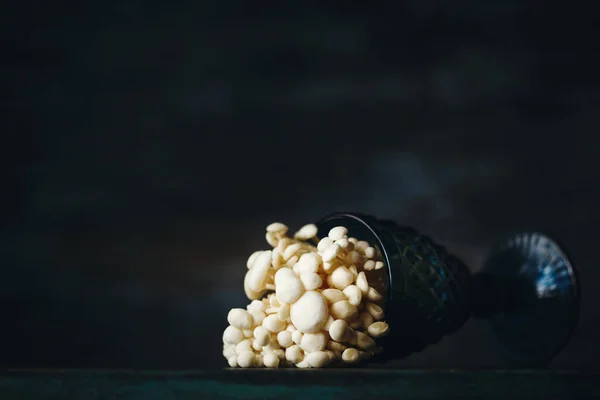 金银花 金银花 食用菌在日本菜中很流行 静谧的生活 白色的小蘑菇倒入深蓝色的酒杯中 背景幽暗 — 图库照片