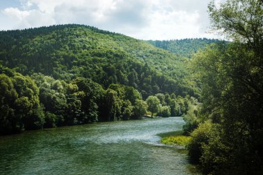 Tepeler arasında akan dağ nehri ile yaz manzarası yeşil ormanlık, Slovakya toprağı, doğa arka planı