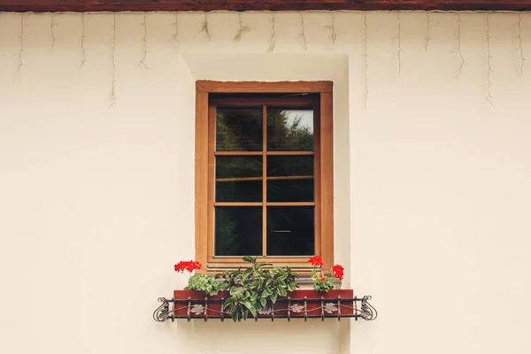 Cozy Window Pots Red Blossoming Flowers Pink Beige Wall Italian — Stock Photo, Image