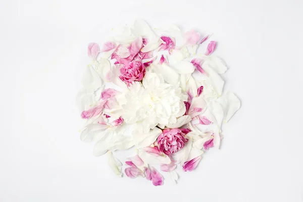 Minimalistisk Ljus Blomsammansättning Vit Och Rosa Pion Blommor Och Kronblad — Stockfoto