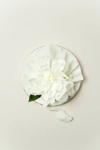 ミニマルなフラワーアレンジメント パステルカラーの白い皿に白い牡丹の花と花弁 トップビュー — ストック写真