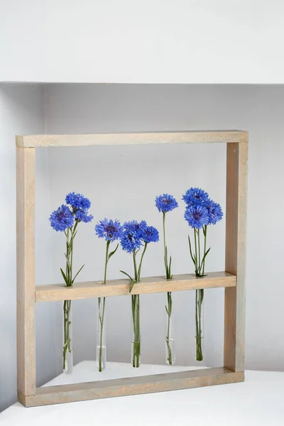 Five Blue Nice Cornflowers Little Vases Wooden Frame Grey Simple — Stock Photo, Image