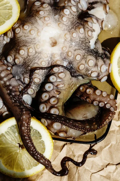 生章鱼 盘中放柠檬 — 图库照片