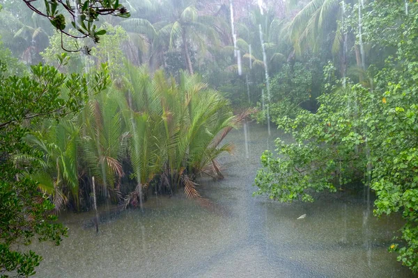 Tropický Déšť Nad Řekou Protékající Deštného Pralesa Ostrově Koh Kood — Stock fotografie