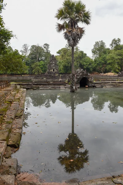 Ada Tapınak Preah Neak Poan Angkor Kamboçya Tarih Itibariyle Görünümünü — Stok fotoğraf