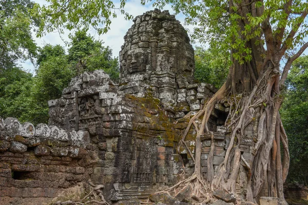 Árbol Tropical Templo Som Complejo Angkor Siem Reap Camboya — Foto de Stock