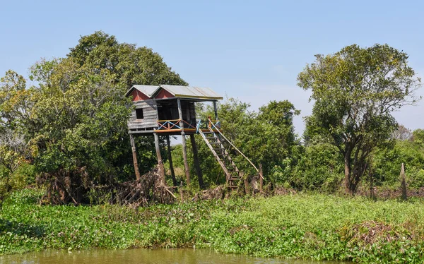 在柬埔寨的洞里萨湖 Sap 湖的支流河里的木屋 — 图库照片