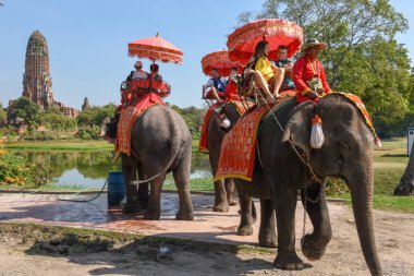 Ayutthaya, Tayland - 5 Ocak 2018: turist Tayland Ayutthaya tarihsel Park'ta bir tapınak ziyareti sırasında bir fil üzerinde