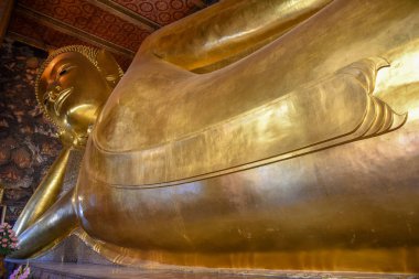 Büyük altın uzanmış Wat Pho Buddha Tapınağı Bangkok, Tayland.