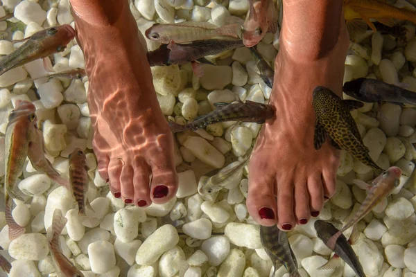 Pescado Spa Pies Pedicura Cuidado Piel Tratamiento Bangkok Tailandia —  Fotos de Stock