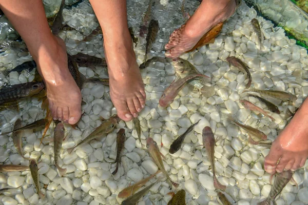 Fish Spa Füße Pediküre Hautpflege Behandlung Bei Bangkok Auf Thailand — Stockfoto