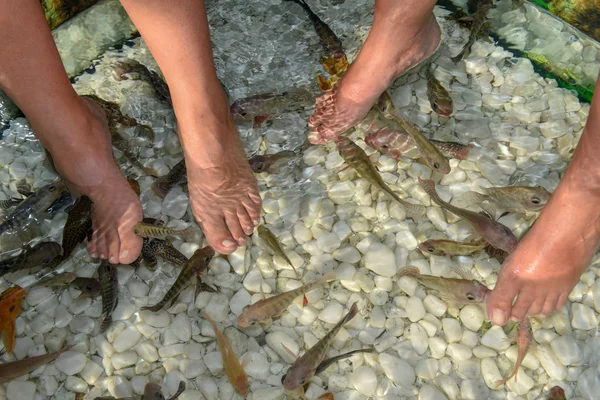 魚スパ足ペディキュア皮膚治療にタイのバンコクで — ストック写真