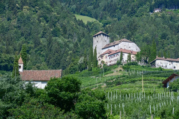 Castel Lebenberg Niedaleko Merano Południowym Tyrolu Włochy — Zdjęcie stockowe