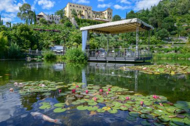Meran, İtalya - 22 Haziran 2018: Botanik Bahçesi Trauttmansdorff Kalesi, Meran South Tyrol, İtalya