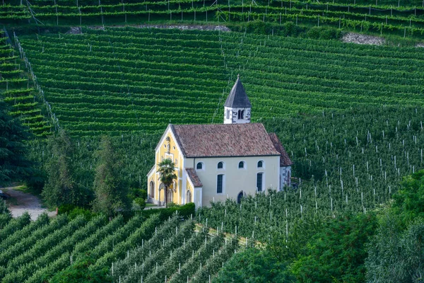 Eglise Saint Valentin Dans Vignoble Merano Sur Tyrol Sud Italie — Photo