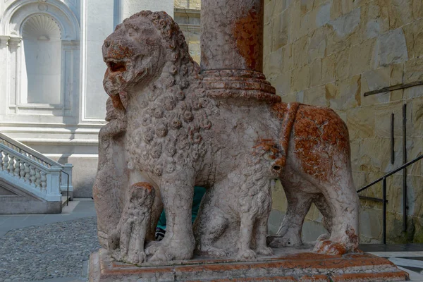 Szobrok Lions Bejáratnál Hogy Santa Maria Maggiore Bazilikától Bergamo Olaszország — Stock Fotó