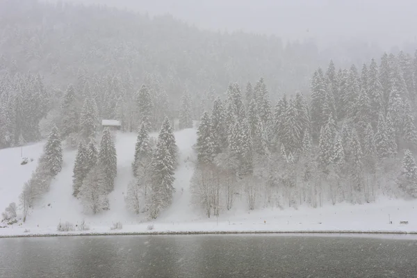 Зимний Пейзаж Энгельберге Швейцарских Альпах — стоковое фото