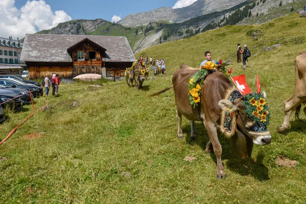 Engstlenalp Svizzera Agosto 2018 Mucca Decorata Con Fiori Bandiere Sulla — Foto Stock