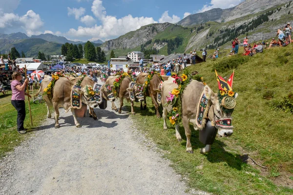 Engstlenalp Svizzera Agosto 2018 Mucca Decorata Con Fiori Bandiere Sulla — Foto Stock