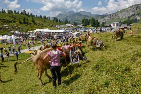 Engstlenalp Switzerland August 2018 Cow Decorated Flowers Flags Annual Transhumance — Stock Photo, Image