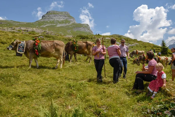 Engstlenalp 2018年8月4日 在瑞士阿尔卑斯山的 Engstlenalp 每年季节性牲畜移动上用鲜花和旗帜装饰的母牛 — 图库照片