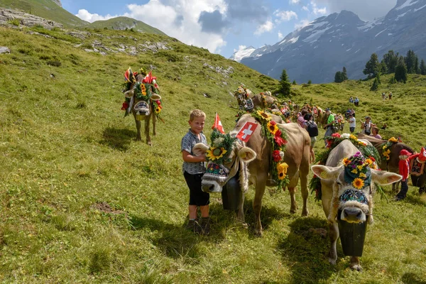 Engstlenalp Szwajcaria Sierpień 2018 Krowa Ozdobione Kwiatami Flagi Roczne Sezonowego — Zdjęcie stockowe