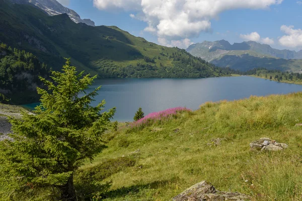 Engstlensee Über Engelberg Den Schweizer Alpen — Stockfoto