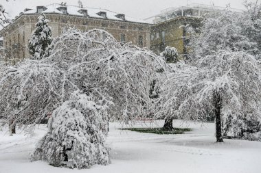 Kar ile Botanik Bahçesi Ciani Lugano İsviçre üzerinde