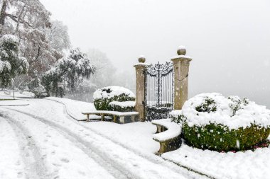 Kar ile Botanik Bahçesi Ciani Lugano İsviçre üzerinde