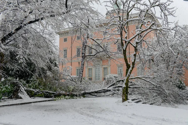 Den Botaniska Trädgården Ciani Lugano Schweiz Med Snö — Stockfoto