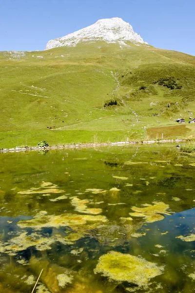 Blick Auf Die Furenalp Über Den Engelberg Den Schweizer Alpen — Stockfoto