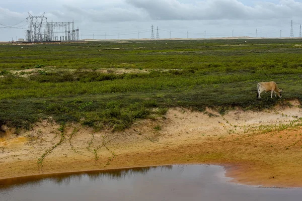 Molinos Viento Campo Cerca Atins Brasil — Foto de Stock