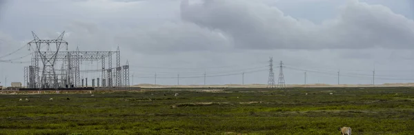 Yel Değirmenleri Brezilya Atins Yakınındaki Bir Alanda Elektrik Kafes — Stok fotoğraf