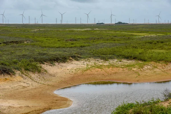 Windmills Field Atins Brazil — Stock Photo, Image