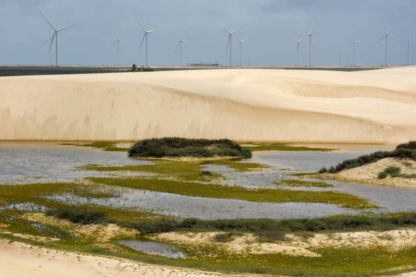 Větrné Mlýny Písečných Dunách Lencois Maranhenses Poblíž Atins Brazílii — Stock fotografie