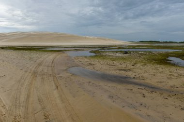 Lagün ortasındaki tepeleri, Brezilya'da Lencois Maranhenese Milli Parkı