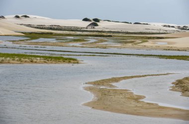 Lagün ortasındaki tepeleri, Brezilya'da Lencois Maranhenese Milli Parkı