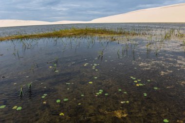 Lagün ortasındaki tepeleri, Brezilya'da Lencois Maranhenese Milli Parkı