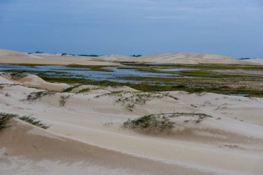 Lagün ortasındaki tepeleri, Brezilya'da Lencois Maranhenese Milli Parkı